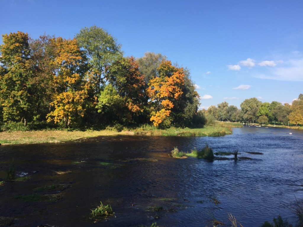Aluksniesiem.lv raksta attēla aizvietotājs