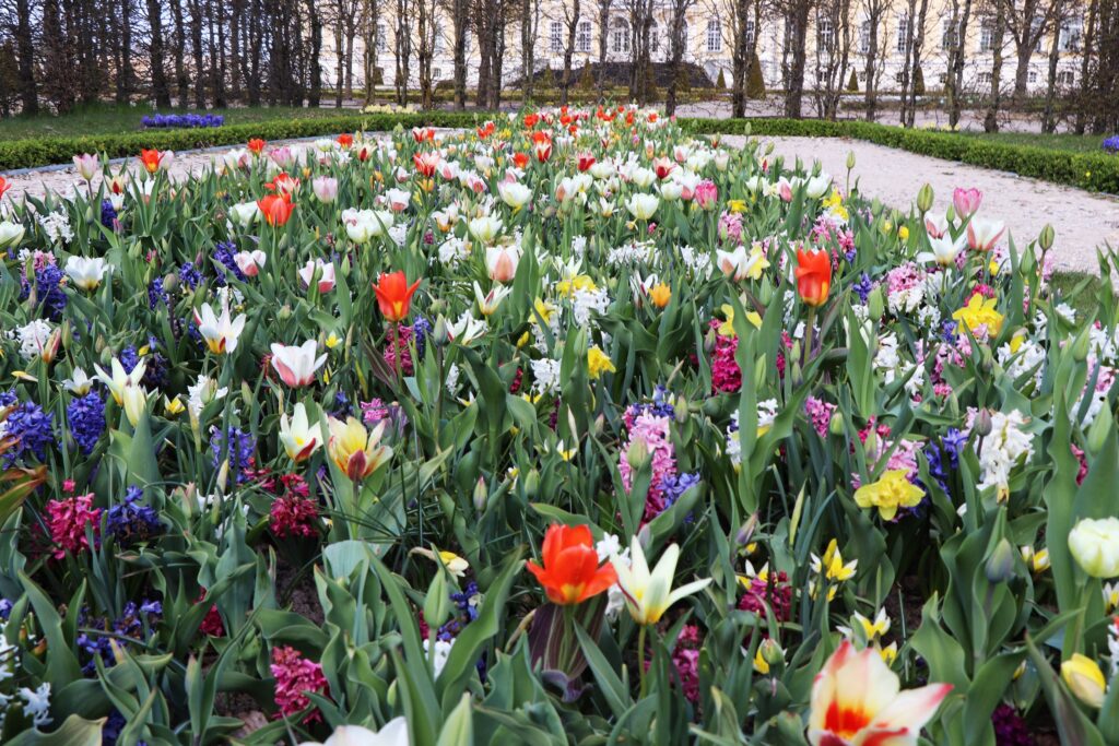 Autors: Publicitātes foto