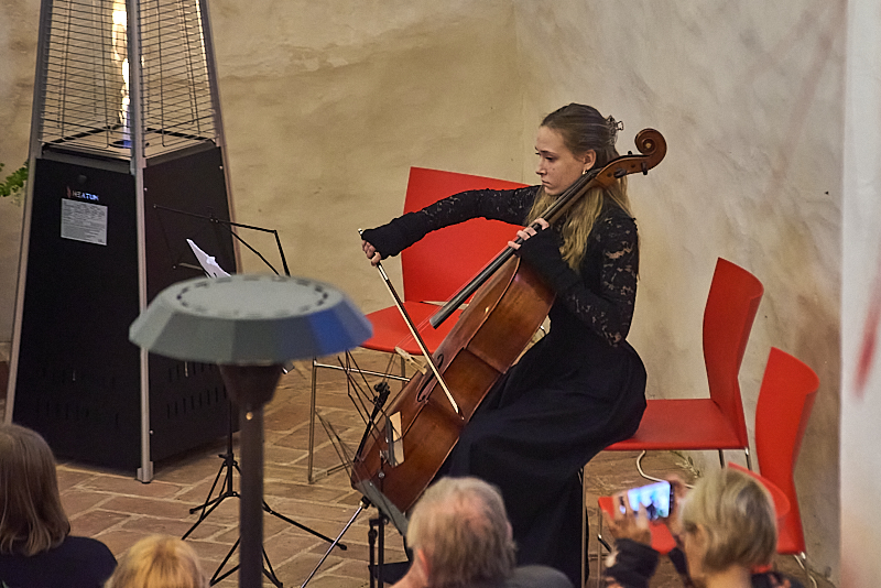 Autors: Ivars Bogdanovs