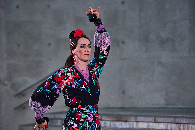 Autors: Ivars Bogdanovs