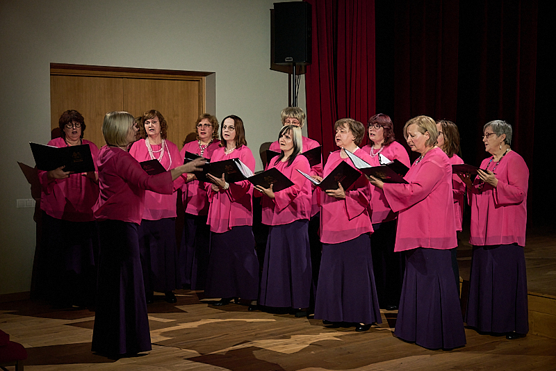 Autors: Ivars Bogdanovs