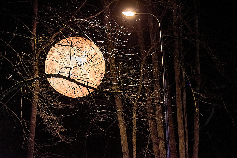 Autors: Ivars Bogdanovs