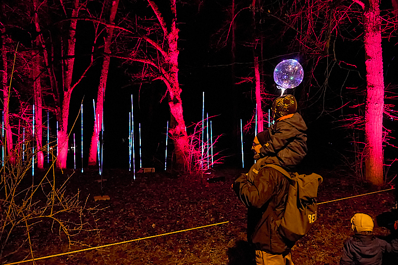 Autors: Ivars Bogdanovs