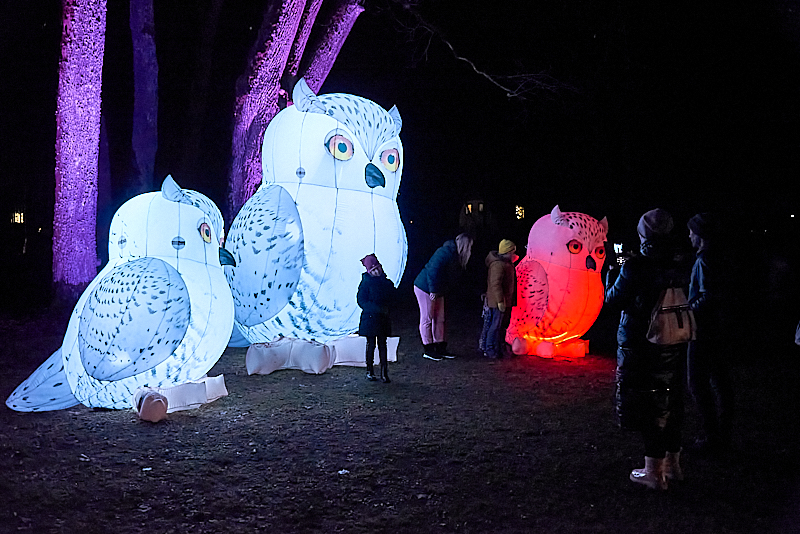 Autors: Ivars Bogdanovs