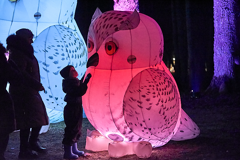 Autors: Ivars Bogdanovs