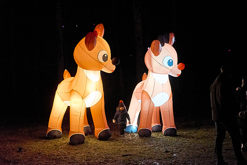 Autors: Ivars Bogdanovs