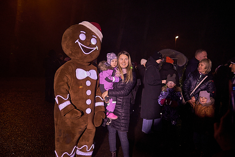 Autors: Ivars Bogdanovs