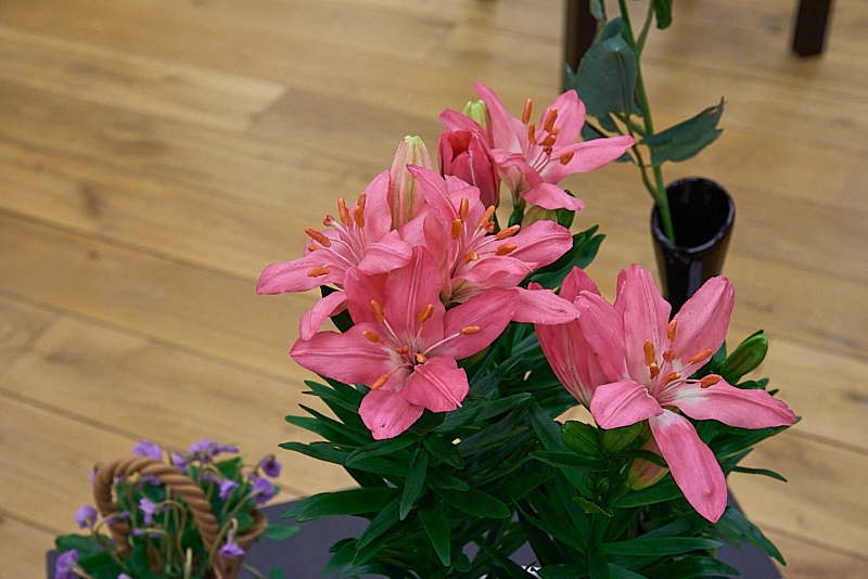 Autors: Ivars Bogdanovs