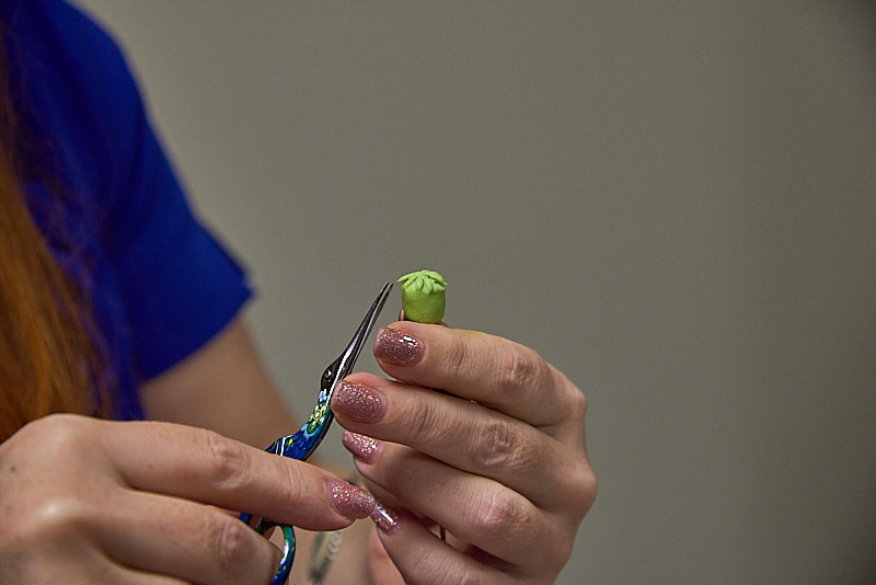 Autors: Ivars Bogdanovs