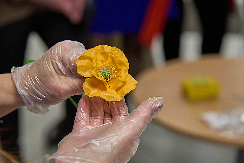 Autors: Ivars Bogdanovs