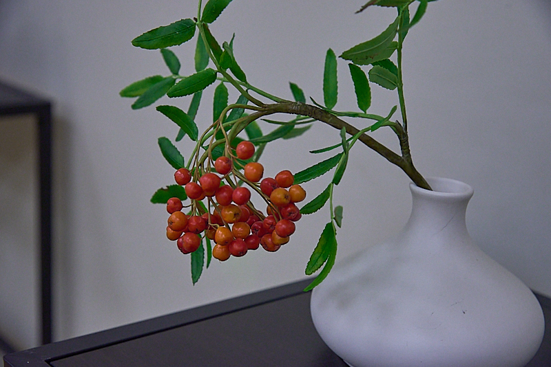 Autors: Ivars Bogdanovs