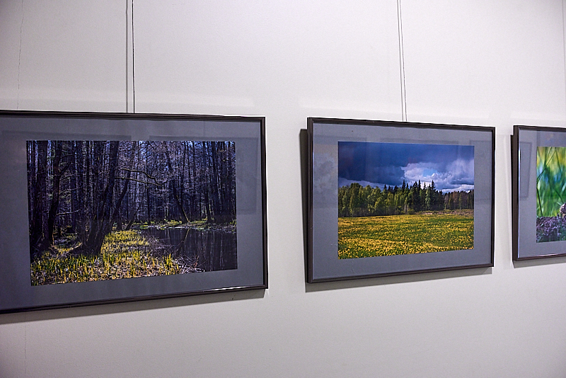 Autors: Ivars Bogdanovs