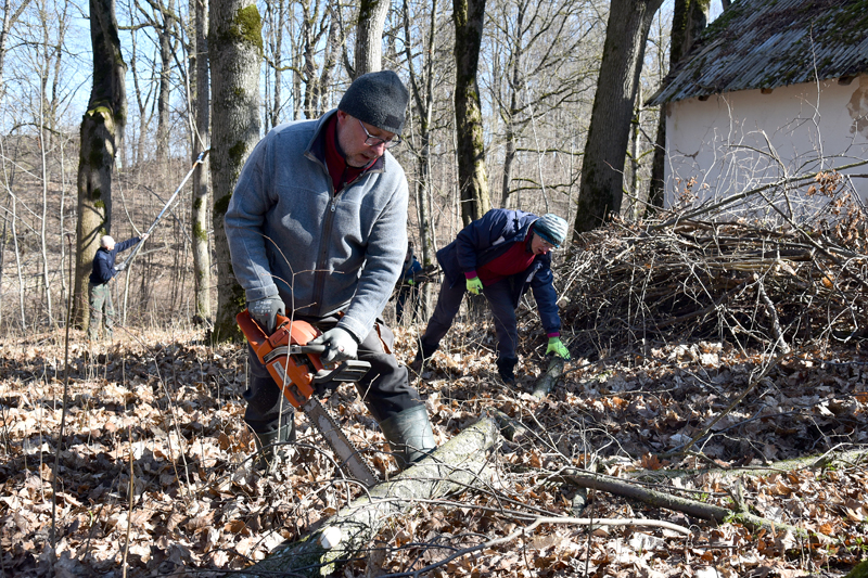 Autors: Ivars Bogdanovs