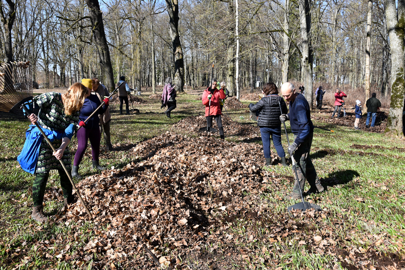 Autors: Ivars Bogdanovs
