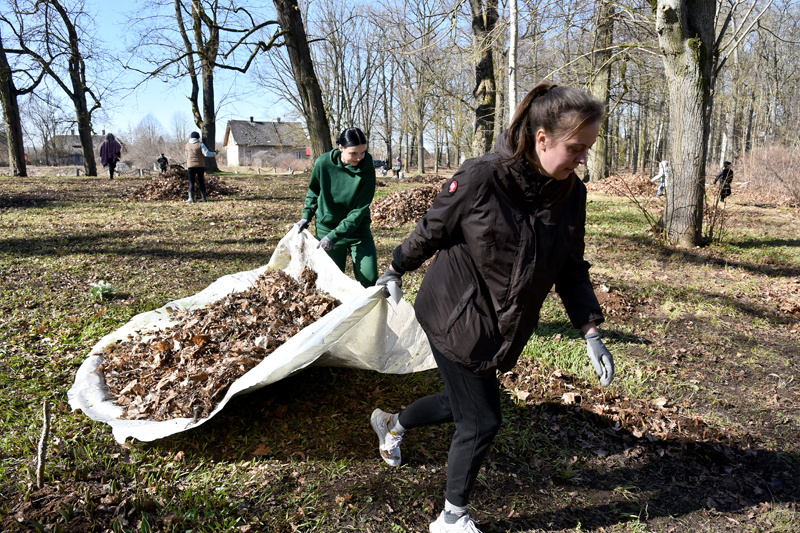 Autors: Ivars Bogdanovs