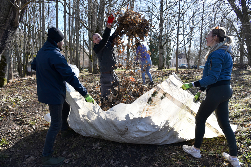 Autors: Ivars Bogdanovs