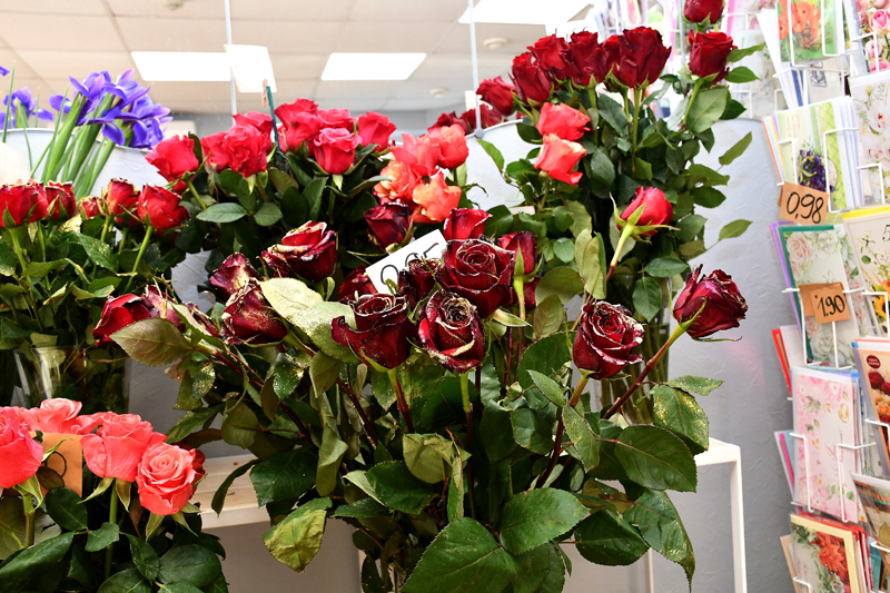 Autors: Ivars Bogdanovs