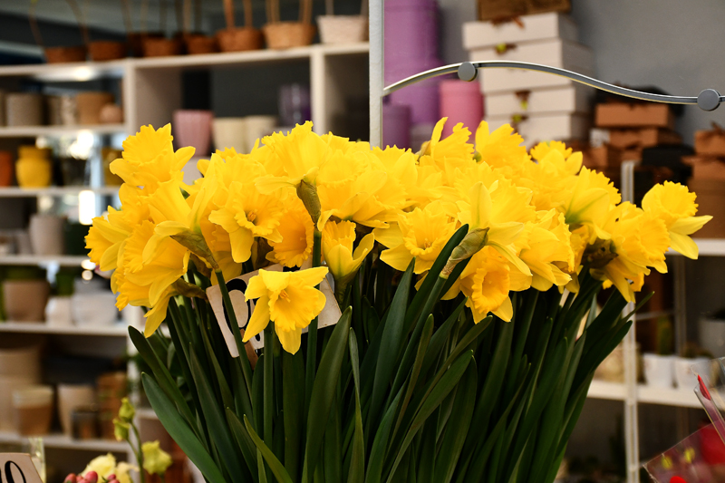 Autors: Ivars Bogdanovs