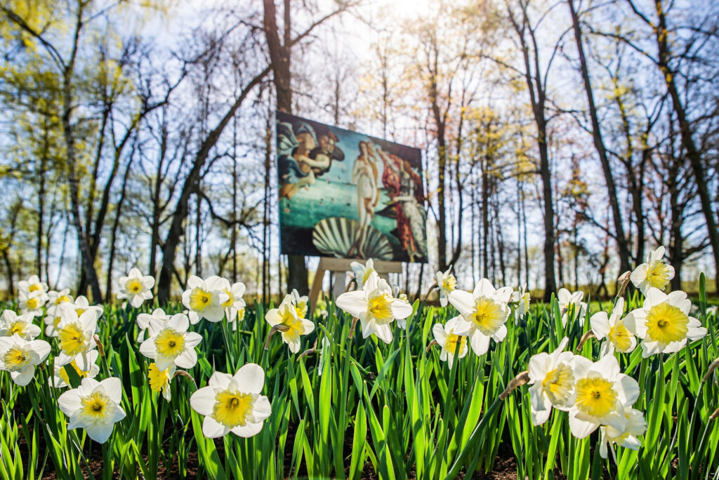 Autors: Publicitātes foto