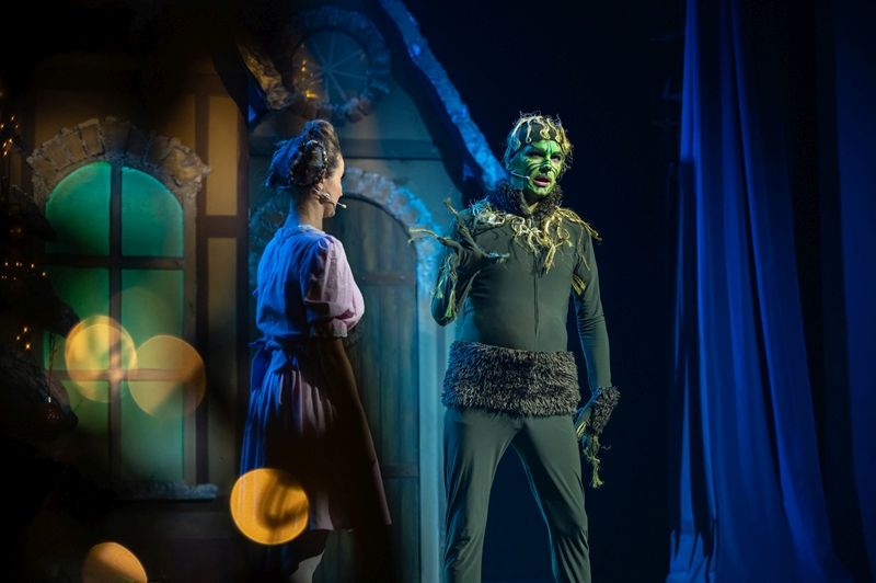 Autors: Raitis Subatovičs