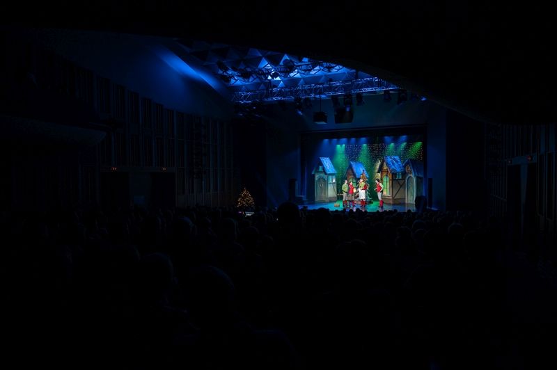 Autors: Raitis Subatovičs