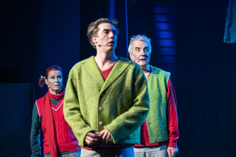 Autors: Raitis Subatovičs