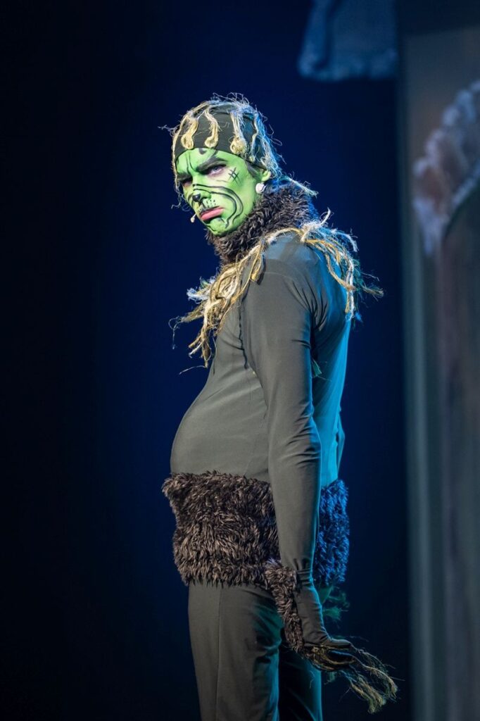 Autors: Raitis Subatovičs