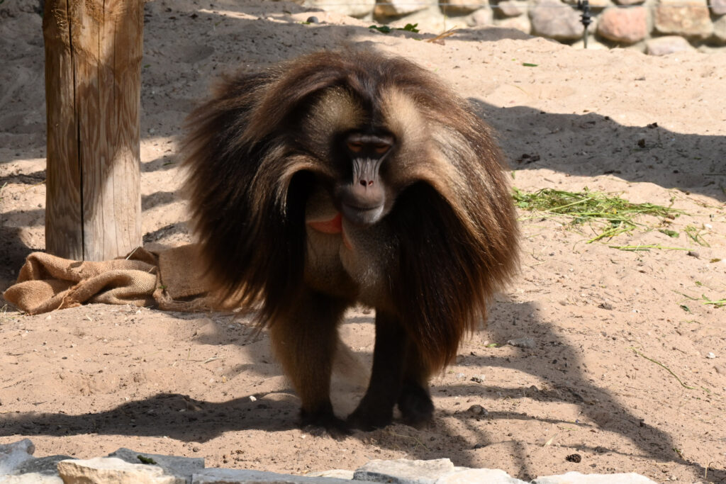 Autors: Publicitātes foto.