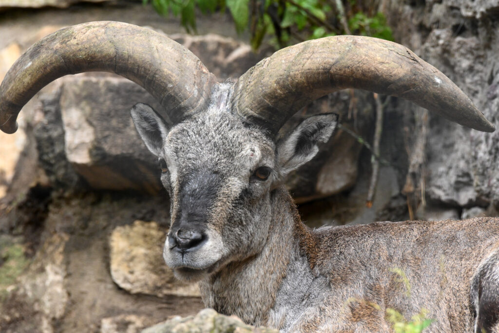 Autors: Publicitātes foto.