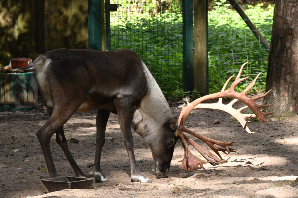 Autors: Publicitātes foto.