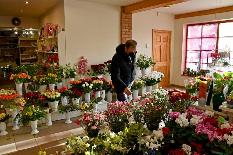 Autors: Ivars Bogdanovs