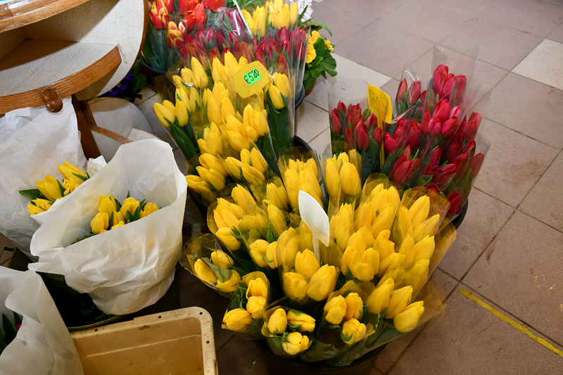 Autors: Ivars Bogdanovs