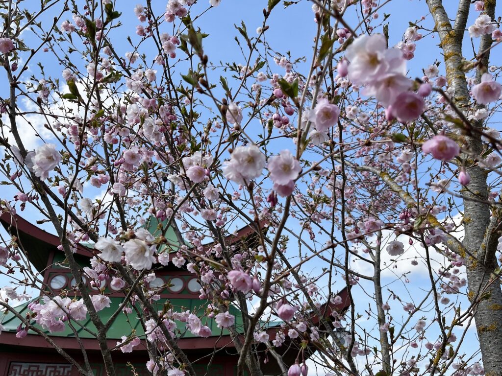 Autors: Publicitātes foto