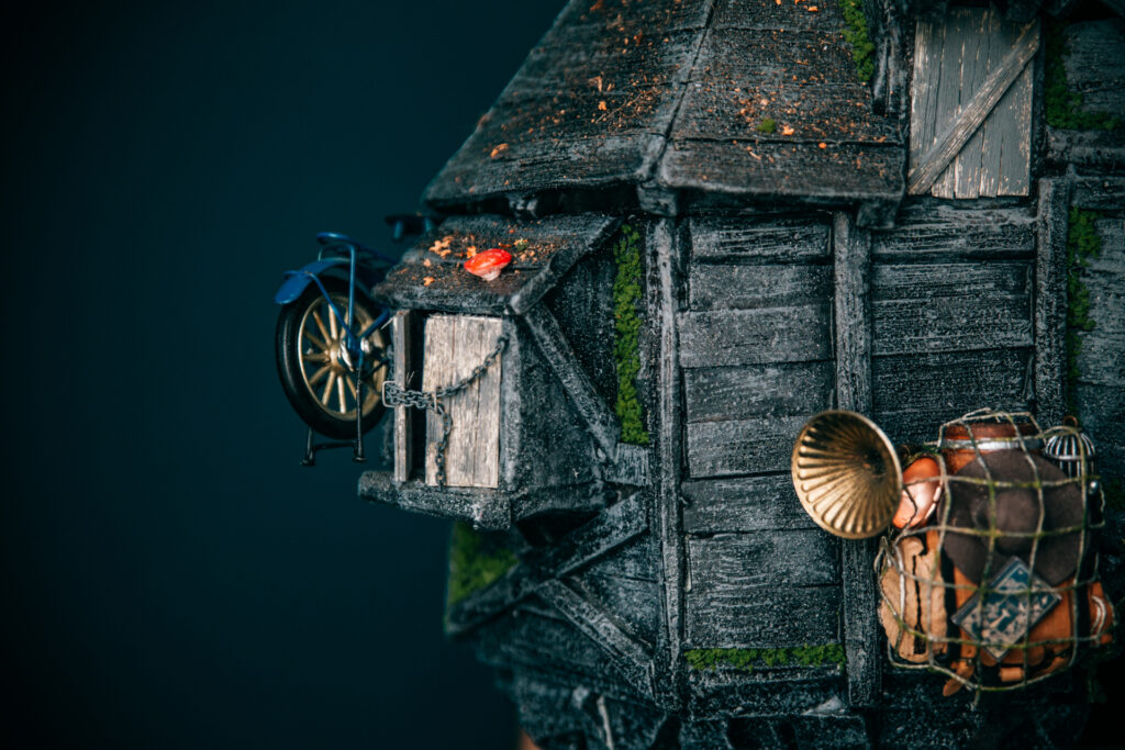 Autors: Publicitātes foto