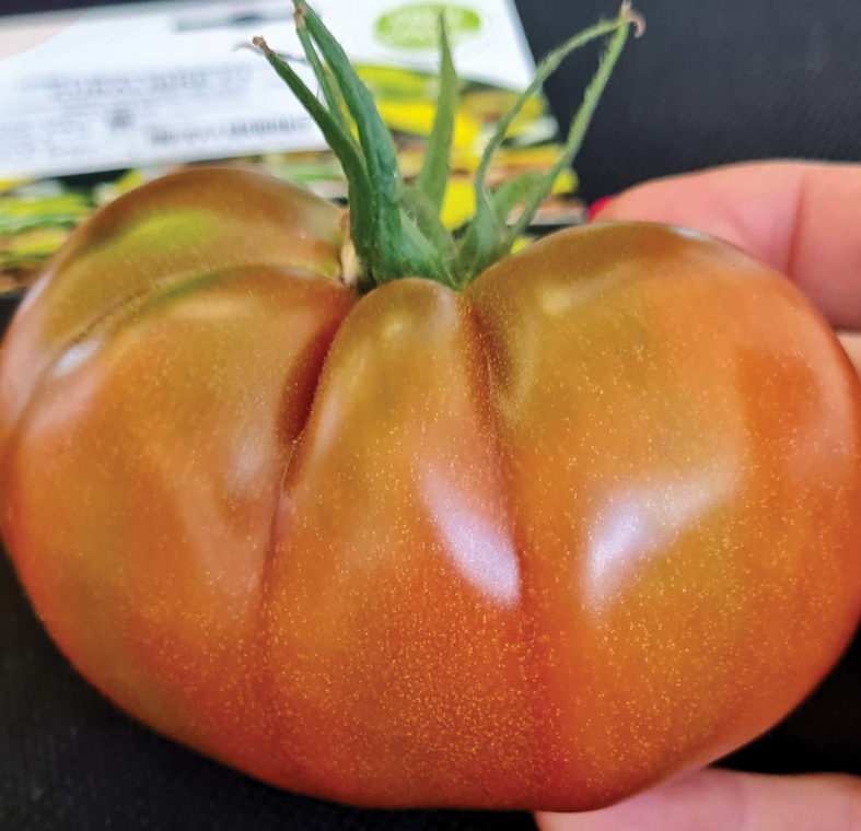 ‘Cubalibre F1’.
Autors: Foto no D. Lesiņas personiskā arhīva.