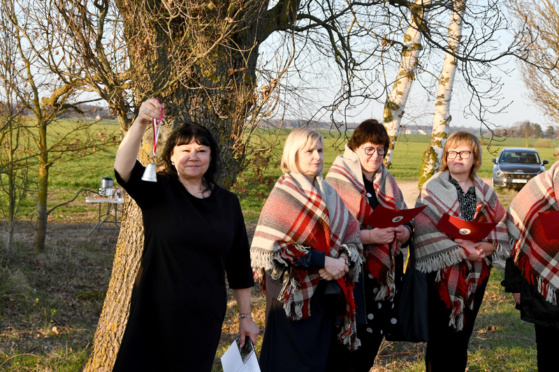 Autors: Ivars Bogdanovs