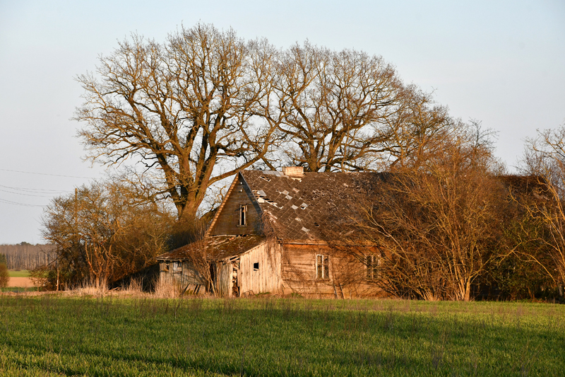 Autors: Ivars Bogdanovs