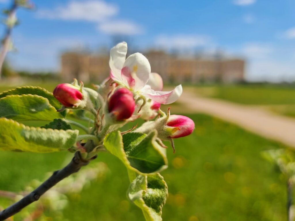 Autors: www.bauskasdzive.lv