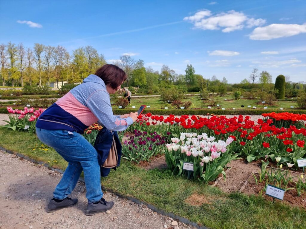 Autors: www.bauskasdzive.lv