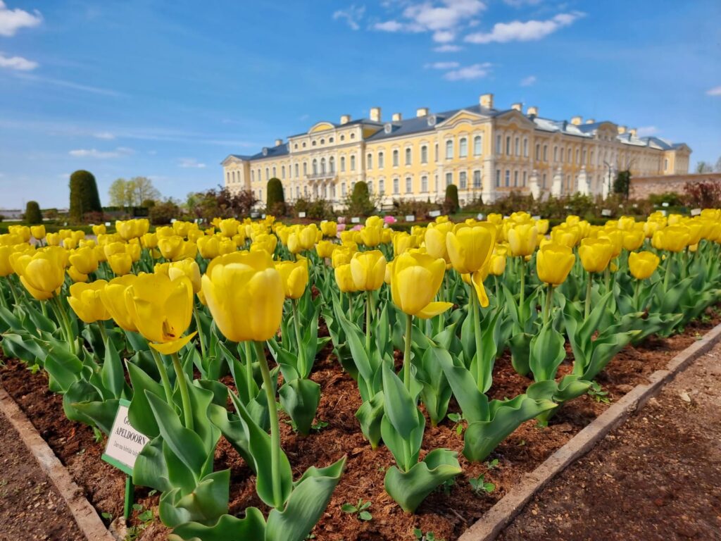 Autors: www.bauskasdzive.lv