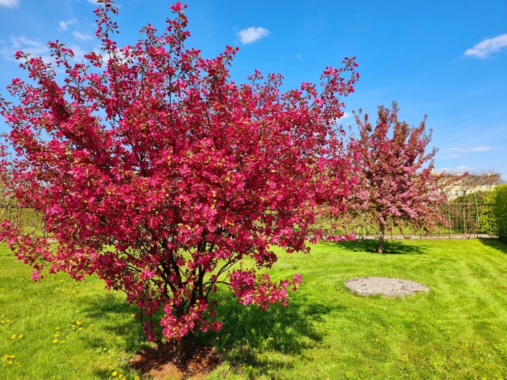 Autors: www.bauskasdzive.lv