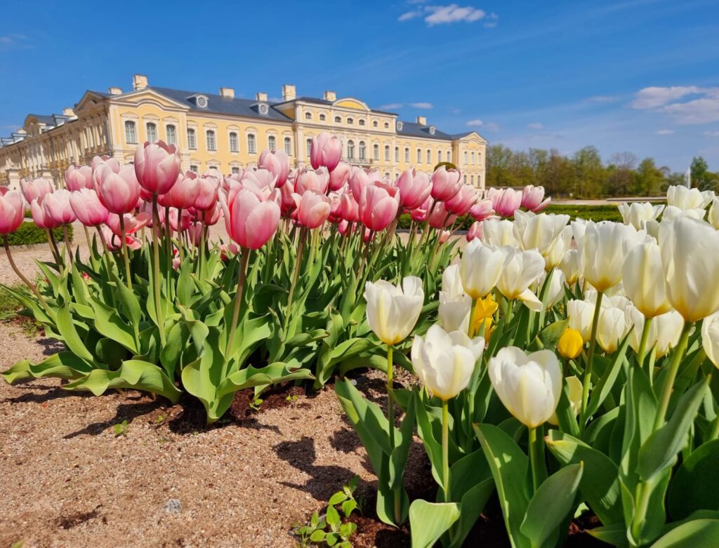 Autors: www.bauskasdzive.lv