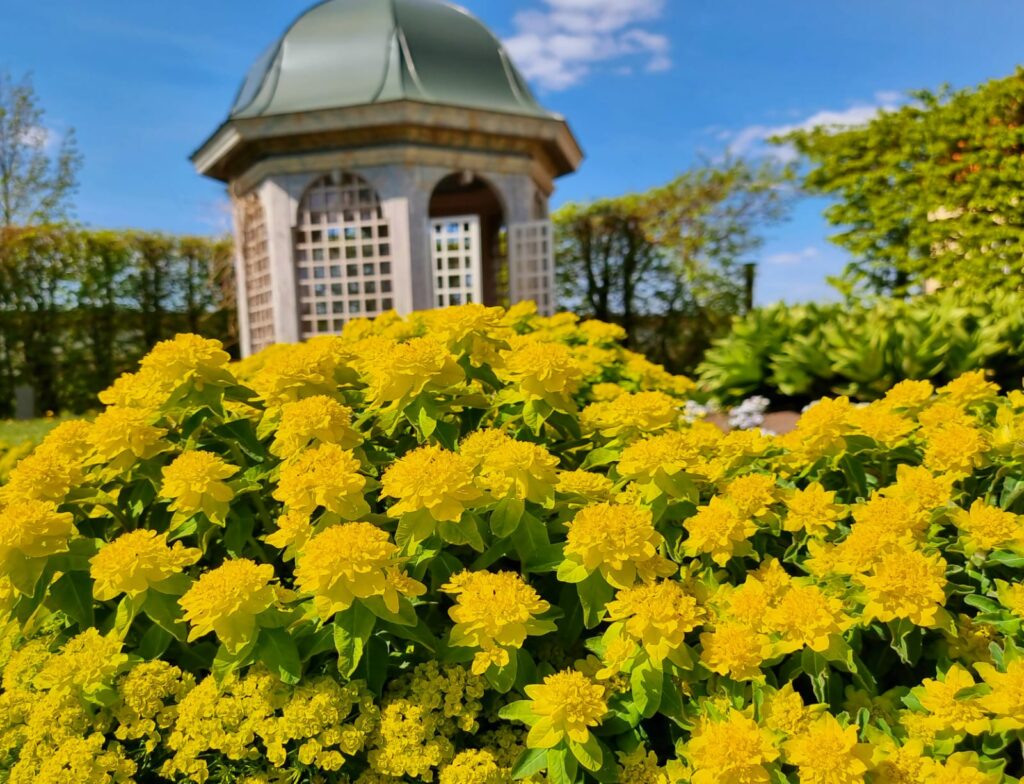 Autors: www.bauskasdzive.lv