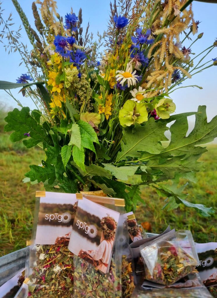 Autors: www.bauskasdzive.lv