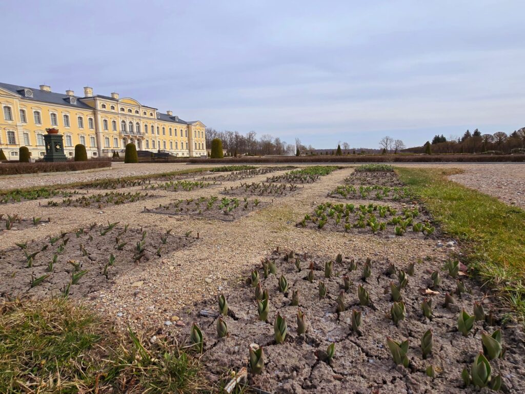 Autors: www.bauskasdzive.lv