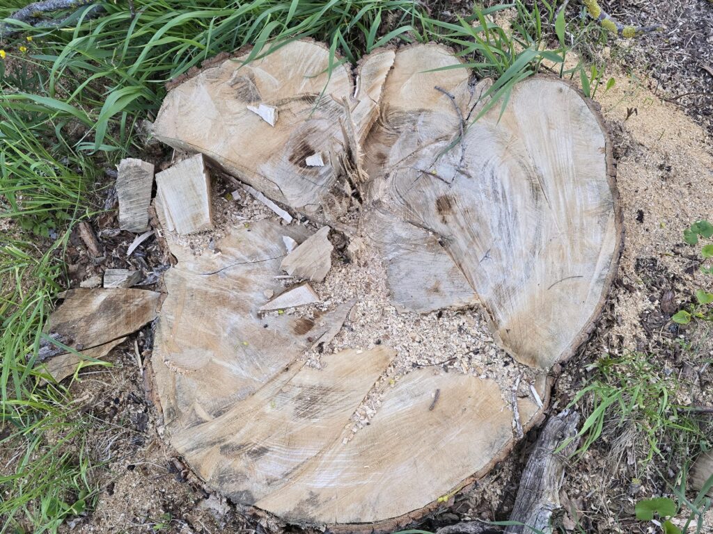 Autors: www.bauskasdzive.lv