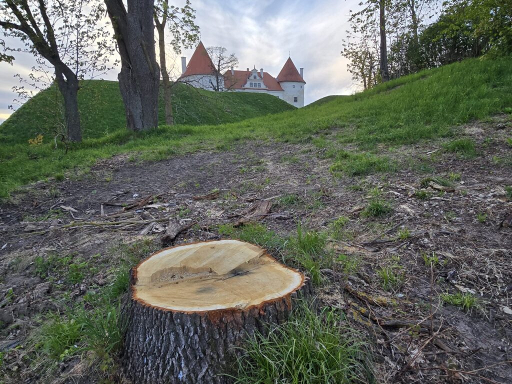 Autors: www.bauskasdzive.lv