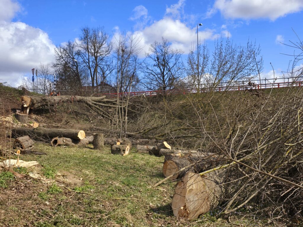 Autors: www.bauskasdzive.lv