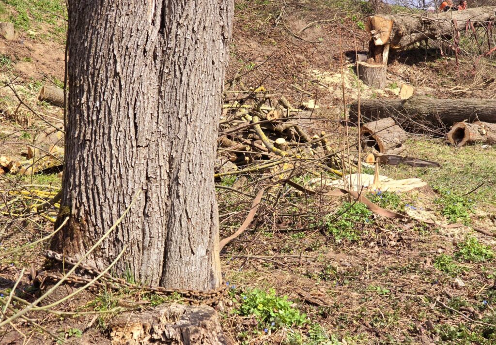 Autors: www.bauskasdzive.lv