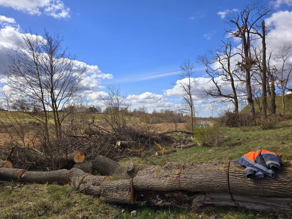 Autors: www.bauskasdzive.lv